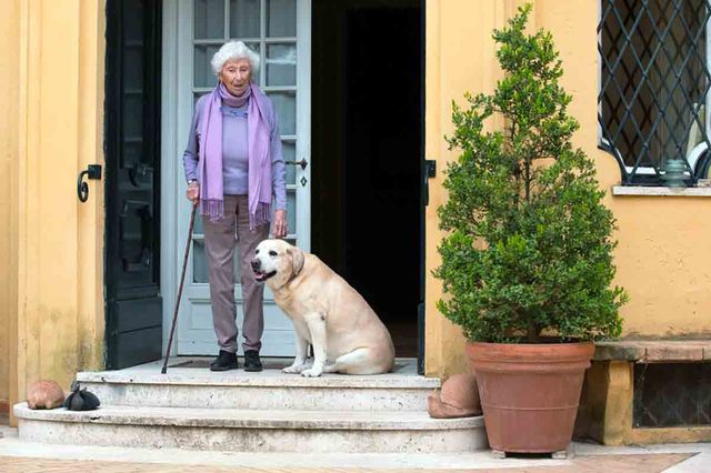 Maria Sole Agnelli: Un'Eredità di Eleganza e Impegno Civile