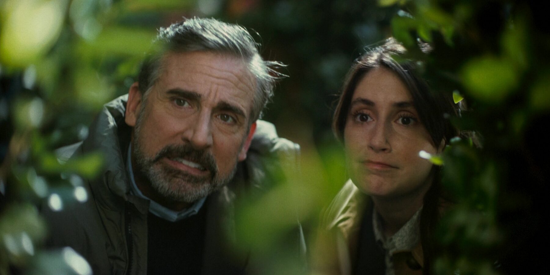 Rooster: Il Ritorno di Steve Carell nella Commedia di Bill Lawrence